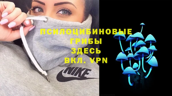 бутират Аркадак