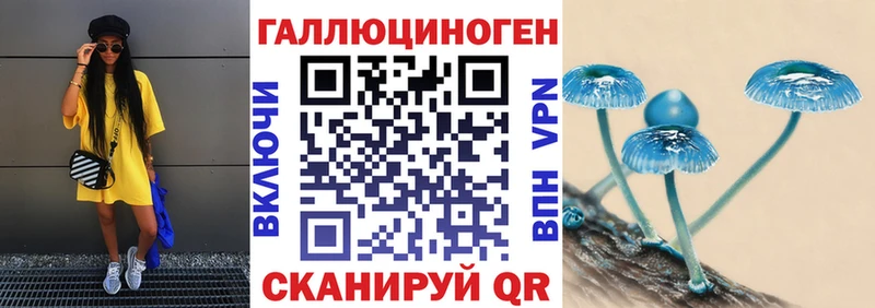 купить   Североуральск  Галлюциногенные грибы мухоморы 